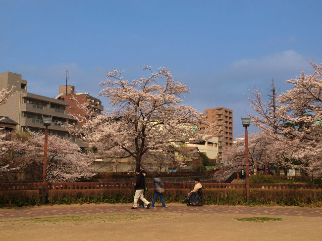 東京都北区には桜の名所が幾つか有ります<br /><br />　歴史的には飛鳥山の桜　<br /><br />　赤羽の西が丘の桜や荒川土手の桜<br /><br />　音無川の桜、、まだ　まだ　有りそう<br /><br />　思いついたまま並べてみました。<br /><br />音無親水公園<br />http://www.city.kita.tokyo.jp/docs/facility/079/007978.htm<br />歩きたくなる　北区<br />http://www.kanko.city.kita.tokyo.jp/