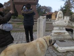 トルコの旅５/トロイの木馬とイスタンブール