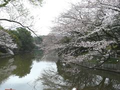 東海市の大池公園です。桜の満開が待ち遠しいです。