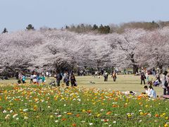 ちょこっとだけ昭和記念公園