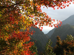 紅葉の大歩危峡、祖谷渓から栗林公園秋のライトアップへ