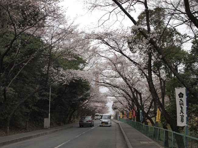 新聞では、弁天さんの桜は５分咲きとのこと。<br /><br />大阪の桜情報では、ほとんどの所が５分咲き。<br /><br />朝は曇りでしたが、昼からは晴れに向かうという天気予報です。<br /><br />そんなこともあって、昼から弁天さんに行くことにしました。<br /><br />【写真は、名神高速道路をくぐってすぐのところです。】
