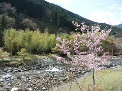 興津川上流・西里温泉の「やませみの湯」で日頃の疲れを癒す！