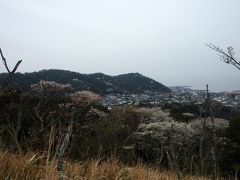 逗子から仙元山と葉山、山と海のウォーキング