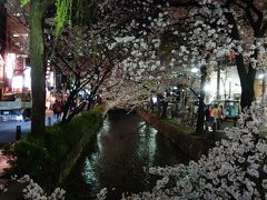 京都からの花便り(鴨川編）