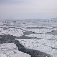 ◆流氷とカシオペアの旅◇2日目◆網走流氷観光砕氷船おーろらで流氷満喫