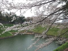 東京散歩、桜の名所、千鳥ヶ淵　（千代田区）　−　３月　　２０１３年