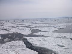 ◆流氷とカシオペアの旅◇2日目◆網走流氷観光砕氷船おーろらで流氷満喫