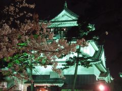 さくら満開♪岡崎公園わくわく夜桜見物～