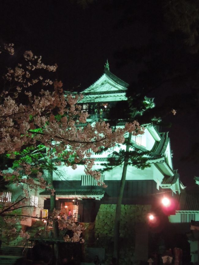 昼間の桜もとってもきれいだけど「幻想的な夜桜見物に行きたいね」ってことで<br />旦那様のおーさんと名鉄電車に乗って岡崎城の夜桜見物にいってきました♪<br />武将隊のパフォーマンスや岡崎城のライトアップ、水面に映る夜桜等楽しんできました<br />花より団子なのも世の常でお花見団子美味しかったです♪<br />公園内や川沿いは台湾の夜市のような屋台のにぎやかさで驚き！ました～