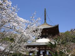 和歌山の４つの早咲き桜めぐり