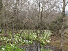 春の箱根　芦ノ湖畔「山のホテル」に泊まる　その２