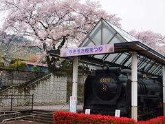 かながわ　西部　　ＳＬと桜のならぶ山北駅　やまきた桜まつりにて　2013春