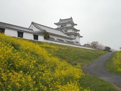 春の関宿城博物館