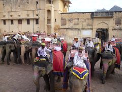 インドで世界遺産巡り！　その4　ジャイプールで象に乗ってアンベール城観光編