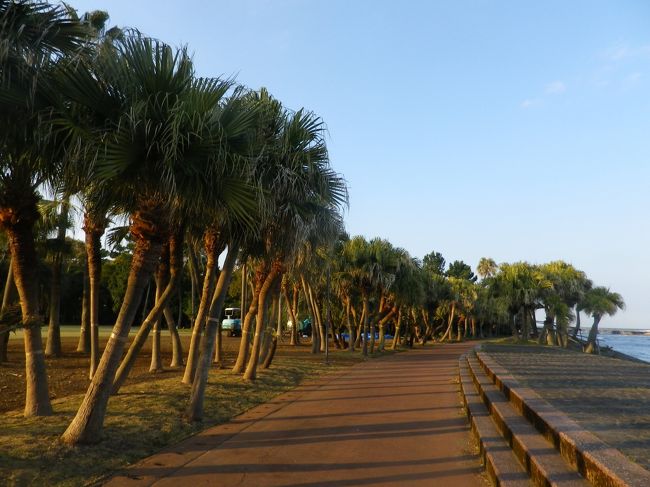 日南市の「サンメッセ日南」の観光を終えて、宮崎市の青島へ、宿泊する「青島観光ホテル」に到着、夕食前にＪＲ青島駅など周辺を少し散策しました。<br /><br />大きなホテルで、お風呂も大きく、のびのび過ごせました、夕食は温かい料理が出て、美味しく食べることが出来ました、女将さんが一生懸命お客様と対応して頑張っていました。<br /><br />ホテルでは、宿泊者が少なくさみしい感じがしました、何か一時代が終わったような気がしました、女将さんの努力が生きれば良いですが。<br /><br />翌日は朝食後、青島・青島神社・植物園を散策。<br /><br />＊青島へ来るのは平成１３年以来３度目となりました。宿泊は初めてです。