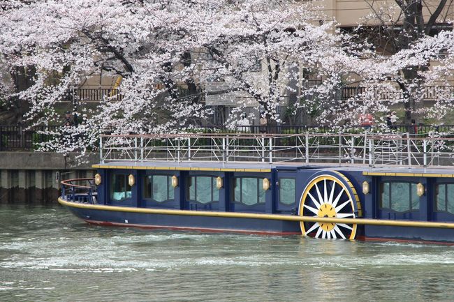 大阪市内の桜の名所、大川（旧淀川）のソメイヨシノが見頃をむかえたので、上流の飛翔橋から天満橋まで、遊歩道沿いに植えられた桜並木の下をお花見散歩してきました。<br /><br />この日はいいお天気に恵まれたので、陸上はもとより、船上からお花見を楽しもうと、定期水上バスに加え、「大川さくらクルーズ」と銘打った遊覧船などに乗り込んで、大勢の方がお花見を楽しんでいます。<br /><br />もちろん、陸上組の中には川沿いの広場や公園にシートを広げて、花より団子を決め込んでいる人達も・・・。<br /><br /><br />また、桜宮橋のたもとの右岸にある泉布観が、老朽化に伴う修繕工事を終え３年ぶりに一般公開されています。<br />※　平成２５年は、３月２９日〜３１日　：　１０時〜１７時（入館は１６時半まで）<br /><br />泉布観は、明治四年に造幣局の応接所として建てられた、大阪市内に現存する最古の洋風建築で、昭和３１年に国の重要文化財に指定されました。<br /><br />「桜の通り抜け」で有名な造幣局の、国道１号線をはさんだ北側にあるので、お花見の際に訪れてみられるのもいいと思います。
