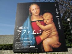 早咲き桜便り　ラファエロ展とクラーク・コレクション