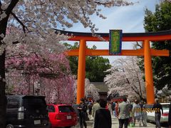 2013年　平野神社　珍種の桜