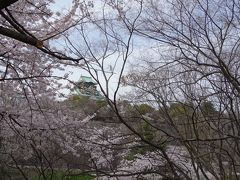 大阪城公園から大川沿いへ花見散策