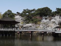 奈良の桜　大和路を行く1