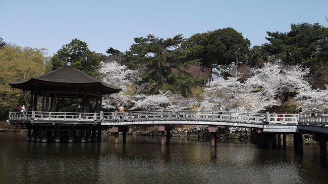 3月30日、奈良の桜は見頃でした。<br />奈良駅から歩いて興福寺、奈良公園、春日大社、東大寺、若草山を歩きました。<br /><br />トップ写真は、浮身堂です。<br />桜は、ほぼ満開でした。<br />お見事。