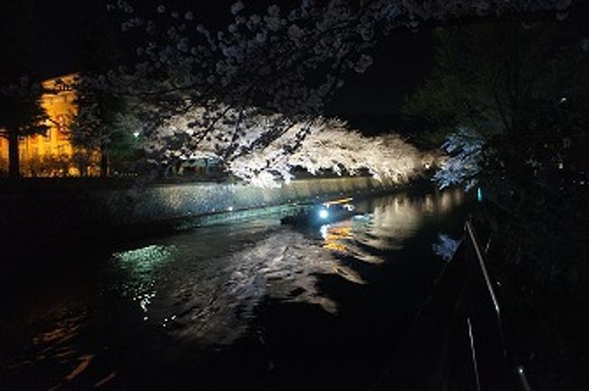 桜が大分綺麗になってきたという事で、仕事を終えて自宅から歩いて琵琶湖疏水へ行ってきました。それにしても綺麗やった。疏水沿いの桜は…。恐らく昼間は観光客で一杯だと思うのですが、夜は閑散としていてゆっくりと散策することが出来ました。<br /><br />京都で花見と言えば円山公園ですが、琵琶湖疏水沿いで花見というのも良いかもしれません。その後、蹴上へ移動。蹴上はさすがに真っ暗でした。桜が満開だっただけに残念。今度は昼間に行って見ようと思います。