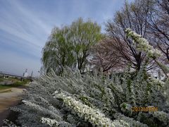 2013年　京都市内自転車でブラブラ