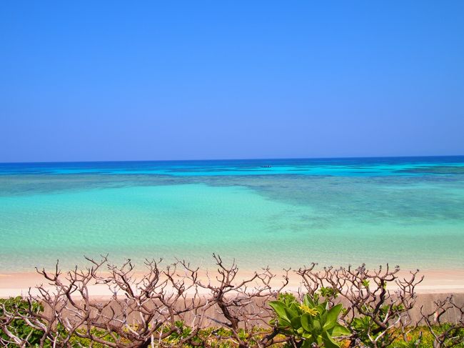 昨年の西表島と沖縄本島旅行に続き、今年の1週間旅行も沖縄に♪<br />のんびりまったりと過ごすには離島!<br />波照間島3泊、石垣島3泊の6泊7日に決定。<br /><br />