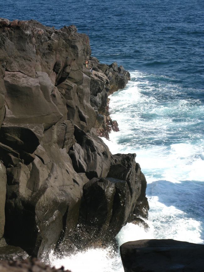 城ヶ崎自然研究路コース &#8211;<br />天城山系の溶岩がなだれ込んでできた城ヶ崎海岸は総延長15kmの雄大なリアス式毎岸。海崖は絶壁が連なり、岬から岬へと続く様は、溶岩と柱状節理と海の碧さのコントラストが壮観です。<br />自然の美しさを保ち訪れる人に自然の驚異を教えています。海岸線は約9kmに及び、遊歩道が整備され自然研究路として四季折々ハイカーで賑わいます。<br />（http://www.izunet.jp/asobu/warking-map/it-014.htm　より引用）<br /><br />城ヶ崎自然研究路については・・<br />http://www.f-flap.com/wkmap.pdf<br />http://www.ne.jp/asahi/leo/izu/page082.html<br />http://www.mapple.net/byarea/0304030303.htm<br /><br />城ヶ崎海岸ウォーキング <br />行程	各出発地〜(首都高・東名道)〜厚木IC〜(小田原厚木道路)〜ぼら納屋(バス下車)…ピクニカルコース《吊り橋…門脇灯台…蓮着寺(昼食)》…自然研究路《まないた岩…いがいが根…とよ》…伊豆高原駅(バス乗車)〜いろり海産(買物)〜(小田原厚木道路)〜厚木IC〜(東名道・首都高)〜各出発地　　　　　　　　　　　　　　　　　　<br />ウォーキング時間　約8.5km　約4時間(食事時間・見学時間含む)<br /><br />京成バスシステムについては・・<br />http://www.keisei-bus-system.co.jp/pc/p010000.php<br />