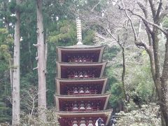 東海バスツアー初めて参戦記！伊東から奈良まで楽ちん、新東名も見物しつつ、室生寺・石舞台・橿原神宮。この気楽さは癖になりそう！！