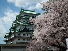 今まで撮影した桜の写真