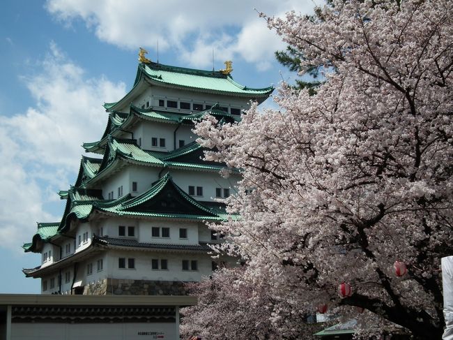 ここ５年間に撮影した桜の写真です。<br />エリアは東京ですが全国（東日本ばかりかな）の桜の写真です。<br />