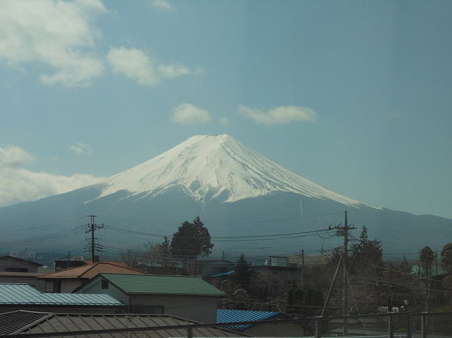 信州バスツアーの旅 [2013](1)　　山中湖編