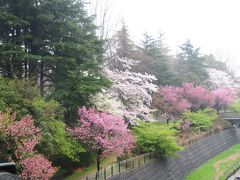 Japan　昭和記念公園　2013 雨の日のしあわせ　～ミツバチばあやの冒険～