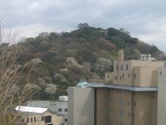 西浦温泉の日帰り入浴へ行きました。桜もオマケ付き。