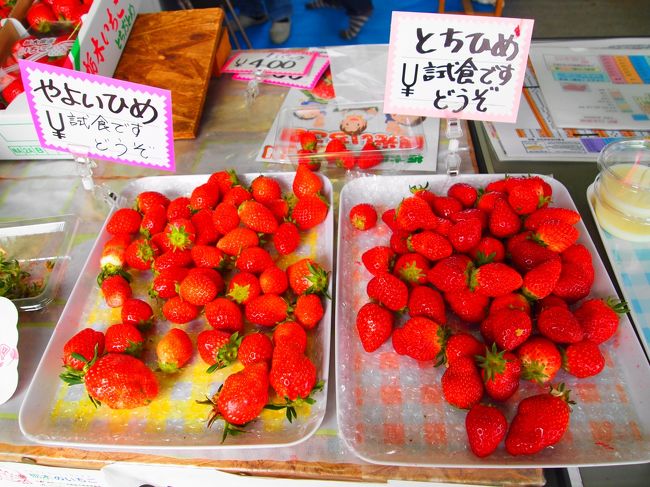 毎年恒例のイチゴ狩り。<br />今年はトチオトメさんを食べに鹿沼へ。<br />どーせなら温泉も行って、<br />次の日に餃子を食べちゃおうツアー!<br /><br />サクサクいきまーす。