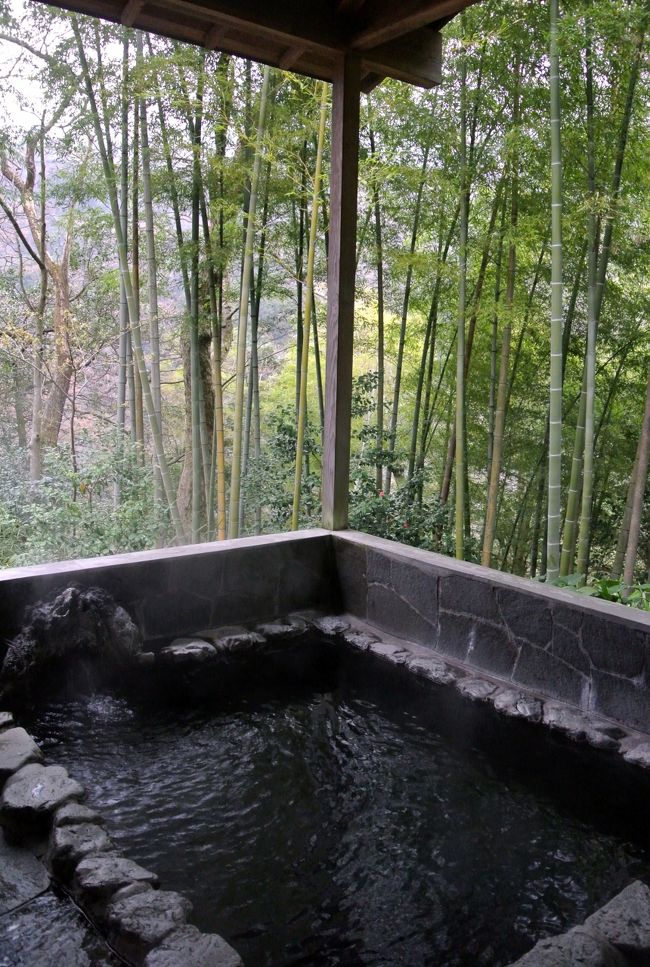 箱根湿生花園からの帰り、宮ノ下の近くに沸く底倉温泉に立ち寄った。近くには、ての湯、太閤の湯などがあるが、この日は凾嶺(かんれい)へ。竹林に隣接する野天風呂に癒されるひとときだった。■水芭蕉咲く箱根湿生花園からの続きhttp://4travel.jp/traveler/taxnax/album/10763088/