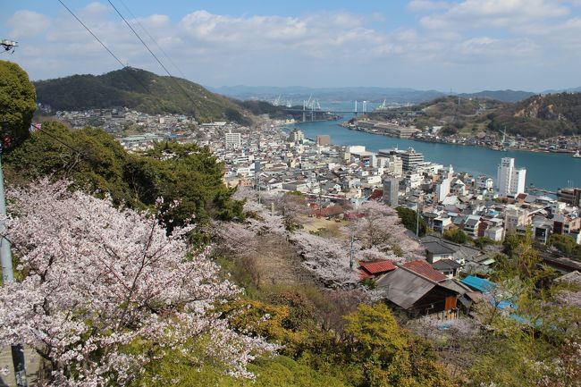 今年も待ちに待っていた桜の季節がやって来た！<br />年に１回はお花見したいと思っているので、今年はどこに行こうかと数日前から考えていました。<br />そこで決まったのが尾道。<br />これまで何度も尾道には行っていますが、桜の季節には行ったことがなかったのです。<br /><br />久しぶりに夫が有休を取れたので、平日に行くことが出来ました。<br />平日なら人が少ないだろうと思っていたけど、やっぱり桜の季節は多かった・・・(&gt;_&lt;)<br />でもお天気にも恵まれ、満開の桜を観ることが出来て楽しい１日になりました♪<br /><br />尾道といえば、多くの猫が暮らしています。<br />今回もたくさんの猫に出会いました～。<br />そしてちょっぴり面白いハプニング（!?）もあり、癒されました～(*^▽^*)<br /><br />やっぱり尾道はいいな～♪<br /><br />━━━━尾道観光協会━━━━<br />http://www.ononavi.jp/index.html<br />━━━━━━━━━━━━━━