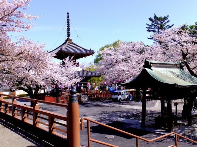 久しぶりの更新です。<br /><br />春らしい今日、デジカメ片手に、川越をぶらついてみました。<br /><br />ナイロンパーカー着て行きましたが、それだと暑いくらい。<br /><br />今回お供のデジカメは最近買ったばかりの<br />富士フィルムF800EXR。もちろん型落ちで安く買いました。<br />まだ説明書もほとんど読んでいませんけれど^^<br /><br />出発地は西武新宿線の本川越駅です。<br /><br />桜はどうだろうと思ったけれど、もう葉桜になっていました。<br />