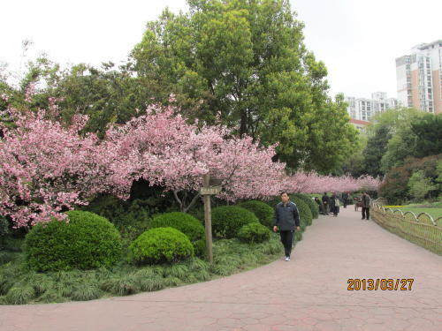 上海の延長路駅・閘北公園・１３年春