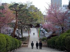 「桜咲く！　護国寺・境内　＆ 小石川・界隈　（文京区）」　を　『　東京散歩・・・で　ひと巡り　』。