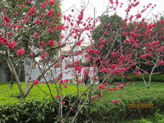 上海の北京路・静安雕塑公園・１３年春