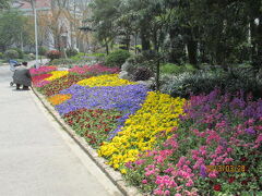 上海の延安西路・天山公園・１３年春
