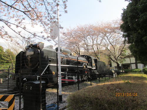 柏市の明原・西口第一公園・桜と蒸気機関車・2013年