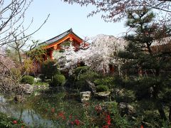 京都の花見part3