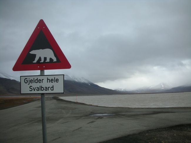 ノルウェー領スヴァールバル諸島、北極圏に近いスピッツベルゲン島の町、ロングイェールビーン（ロングイヤービエン、ロングヤービエンとも言うようです）を訪れました。かつて炭鉱資源を求めて開拓された僻地ですが、現在は観光・教育・研究で生業を立てているようです。雄大な氷河を抱くフィヨルドや、シロクマやトナカイなどの野生動物に出会える場所です。<br />★フッティルーテンのツアー「ポーラー・エンカウンター（北極発見）」に参加<br />★世界で最も北にある街を散策＆バス観光<br />★極地探検クルーズ船、「フラム号（MS FRAM）」に乗船