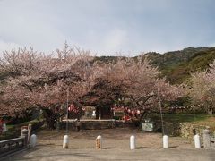 和歌山・海南の国宝建造物、長保寺と善福院へ