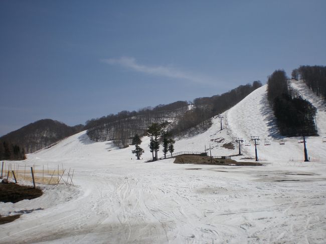 大荒れの関東地方を抜け出し、長野県戸隠にスキーに行きました。<br /><br />上信越道、長野ICから６０分位。<br />長野市を抜けて七曲りをくねくね通っていきます。<br /><br />２日間とも滑る予定でしたが、１日目は雨天と到着が遅くなってしまった為、<br />戸隠神社に行く事にしました。<br /><br />戸隠神社は五社ありますが、その内の奥社に行きました。<br />４月初めとはいえ雪が多かったです。　<br />ズボッと潜ったりするので、足場に気を付けながらゆっくりと進みました。<br />残念ながら奥社までは行けませんでした。<br />雪崩がおこるのでこれより先には行かないようにと言う案内板がありました。<br />後で宿泊先のおじさんに教えてもらったのですが、<br />観光で来る人は普通の靴で来るので危ないからだそうです。<br /><br />２日目は良い天気に恵まれスキーを楽しむ事が出来ました。<br />雪質はザラメで積雪９０?。<br />リフトはクワッドリフトが２本。<br />空いていて、気持ちよく滑れました。<br /><br />帰り道、お蕎麦屋さん『たからや』で戸隠そばを食べました。<br />美味しかったです。<br />そして、おやきが無かったので変わりに注文した蕎麦団子、<br />初めて食べました。美味です！！！<br /><br />昨年スキー場は３月末までしか営業していなかったのに、<br />今年は４月１４日まで営業予定だそうです。<br /><br />夏に行っても涼しそうで良いですね。