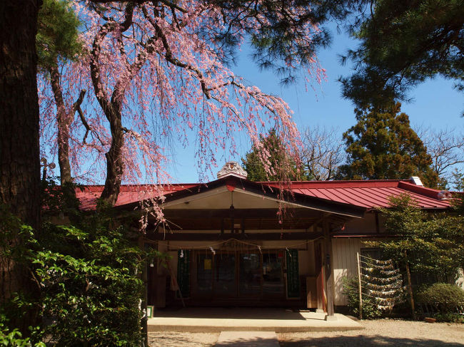 白河の南湖公園へ桜を見るつもりが。。急に気が変わり。<br /><br />初めての街　黒磯駅へ降りてしまいました。<br /><br />何が見られるか　楽しみです。<br /><br />最初に訪れたのは　駅近くの　<br /><br />黒磯神社　桜が咲いて　いい雰囲気の神社でした。<br /><br />黒磯観光協会<br />http://www.kuroiso-kankou.org/